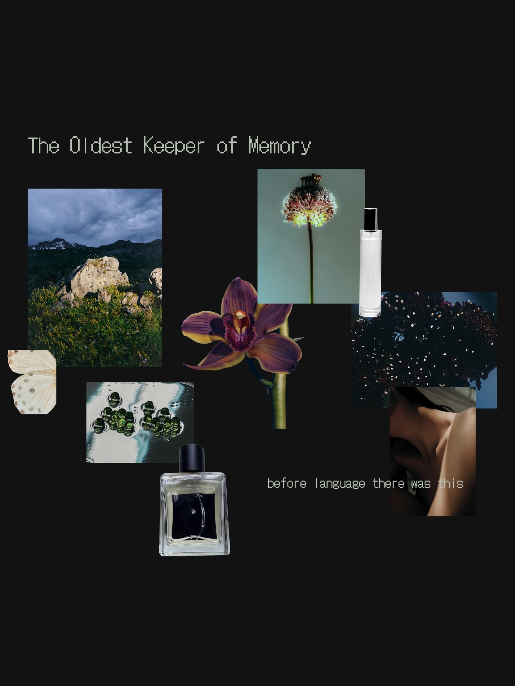 Mood Board 06